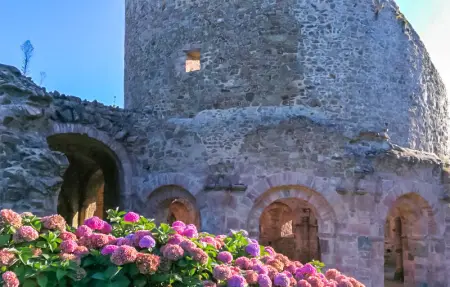 Location Maison 6 personnes à Le Faouët - Photo 30