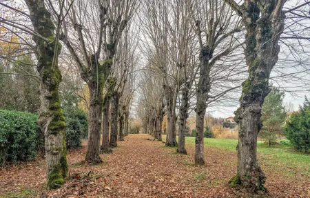 Location Maison 6 personnes à Marquefave - Photo 16