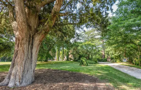 Location Maison 6 personnes à Marquefave - Photo 17