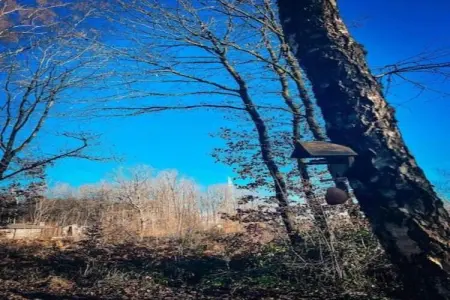Village de Vacances Oignies 7, Chalet moderne en bois avec lave-vaisselle, situé en forêt - Photo 20
