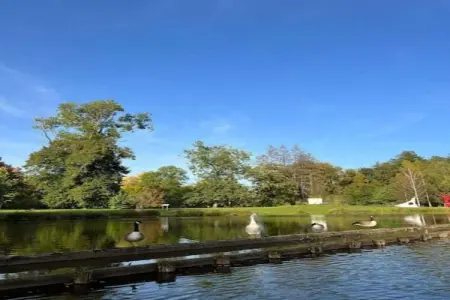 Village de Vacances Oignies 7, Chalet moderne en bois avec lave-vaisselle, situé en forêt - Photo 32