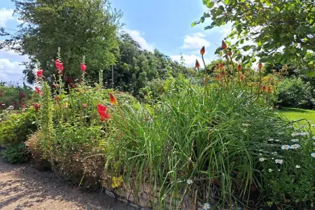 Ferienhaus in Sibiril, Maison 5 personnes à Sibiril - Photo 20