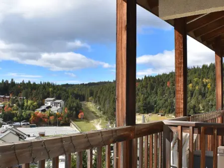 Appartement rénové 2 pièces cabine proche pistes avec balcon exposé sud - Photo 7