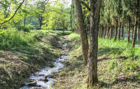 Location Maison 12 personnes à Gaiole in Chianti - Photo 49