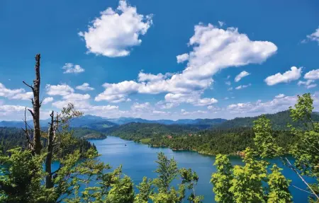 Location Maison 6 personnes à Mrkopalj - Photo 20