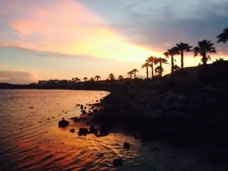 Maison T2 mezzanine rénovée - 6 pers, Gruissan Mateille, Terr. ensoleillée, piscine, parking privé - Photo 11