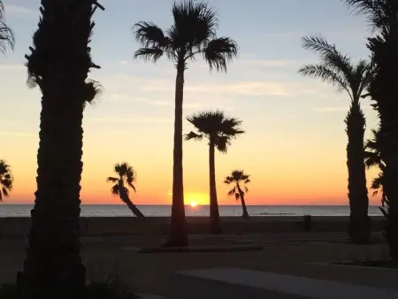 Maison T2 Mezzanine Climatisée avec Terrasse et Parking, proche Plage et Animations au Barcarès - Photo 15