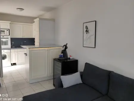 Appartement Climatisé, Jardin et Jacuzzi, 2 Chambres, Garage Électrique, Proche Plage - Photo 5