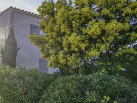 Terre Marine, Appartement 3 personnes à Sanary sur Mer - Photo 15