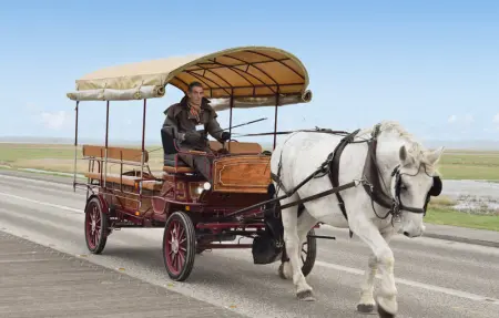 Location Maison 9 personnes à Fierville les Mines - Photo 34