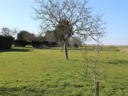 Gîte charmant avec piscine chauffée, proche d'Amboise et des châteaux de la Loire - Photo 31