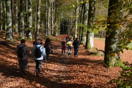 Chez Beau, Escapade Bien-être à Gouvy - Photo 30