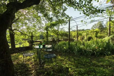 Villa Pepi, Villa à Florence avec piscine privée - Photo 33
