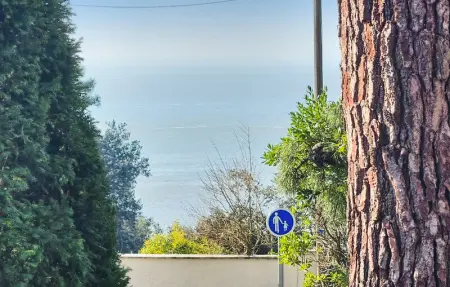 Location Maison 5 personnes à Meschers sur Gironde - Photo 1