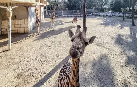 Location Maison 5 personnes à Meschers sur Gironde - Photo 21