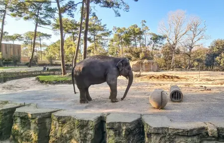 Location Maison 5 personnes à Meschers sur Gironde - Photo 22