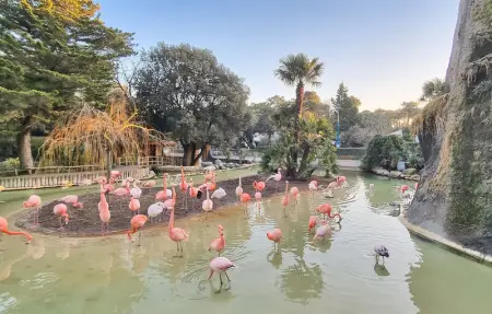 Location Maison 5 personnes à Meschers sur Gironde - Photo 23