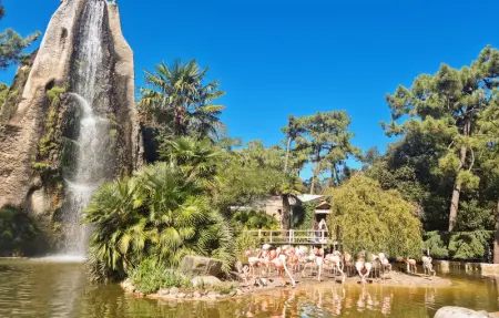 Location Maison 5 personnes à Meschers sur Gironde - Photo 25