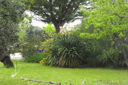 Il Tesoro, Cottage à Cisternino avec jardin & BBQ - Photo 13