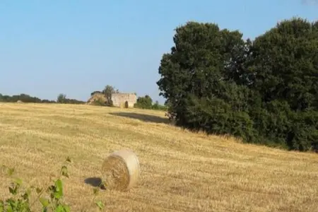 Il Tesoro, Cottage à Cisternino avec jardin & BBQ - Photo 32