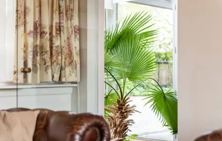 Location Maison 6 personnes à Westouter - Photo 15