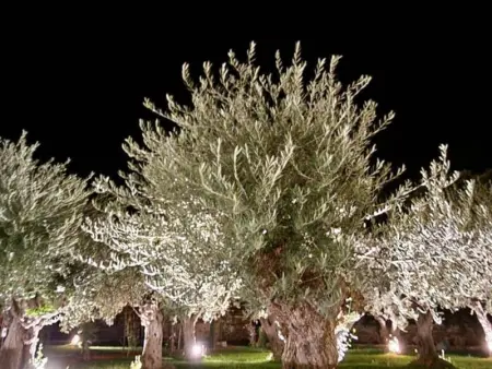 Saint Véran, Villa 8 personnes à Beaumes de Venise - Photo 34