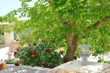 Tenuta Bianca Ostuni, Maison 6 personnes à Ostuni - Photo 31