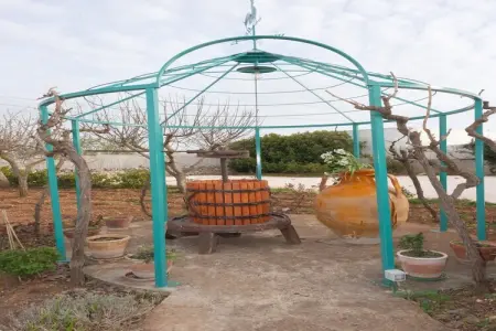 Trulli di Mina - Lamia Fresia Locorotondo, Maison 4 personnes à Locorotondo - Photo 30