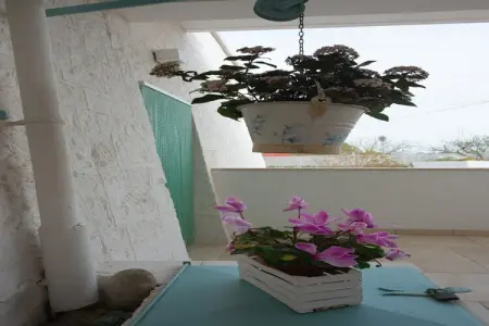 Trulli di Mina - Lamia Fresia Locorotondo, Maison 4 personnes à Locorotondo - Photo 33