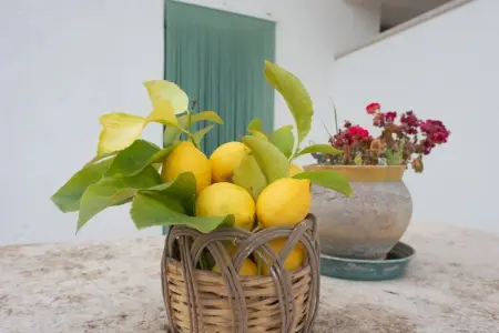 Trulli di Mina - Lamia Fresia Locorotondo, Maison 4 personnes à Locorotondo - Photo 39