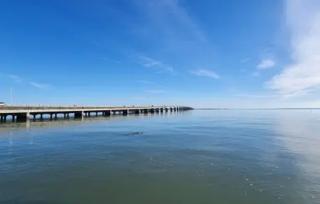 Location Maison 12 personnes à Geay - Photo 35