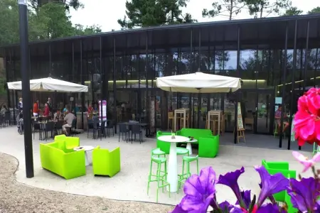 Résidence Lège Cap Ferret - Claouey // Lodge 3 pcs 6 pers et 1 bébé Résidentielles - Photo 14