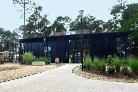 Résidence Lège Cap Ferret - Claouey // Lodge 3 pcs 6 pers et 1 bébé Résidentielles - Photo 15