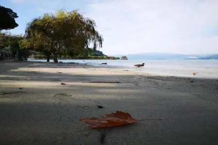 VC02/7 - Villa Castiglioni, Appartement 2 personnes à Luino - Photo 30