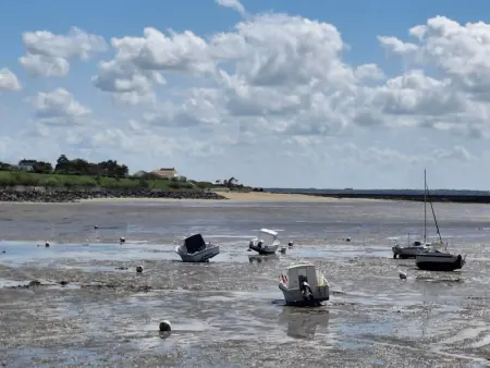 Studio proche plage à Châtelaillon avec terrasse et parking - Animaux admis - Photo 14