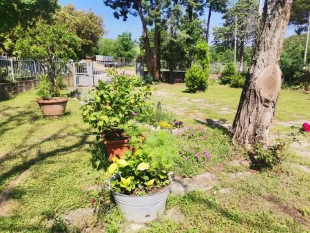 La Pergola, Appartement 4 personnes à Roccastrada - Photo 19