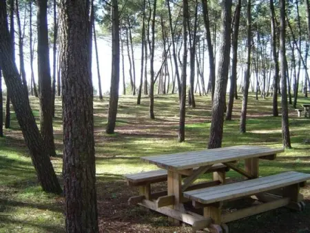Studio Confortable et Bien Situé – Plages, Port, Animations à Deux Pas - Photo 9