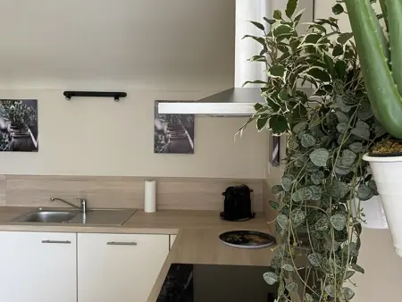 Charmant T3 avec jardin privé, proche des Thermes, bien équipé, parking inclus - Photo 5