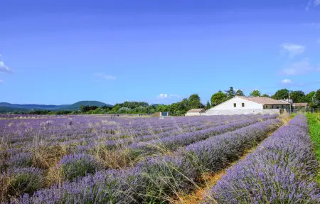 Location Maison 5 personnes à Montboucher sur Jabron - Photo 8