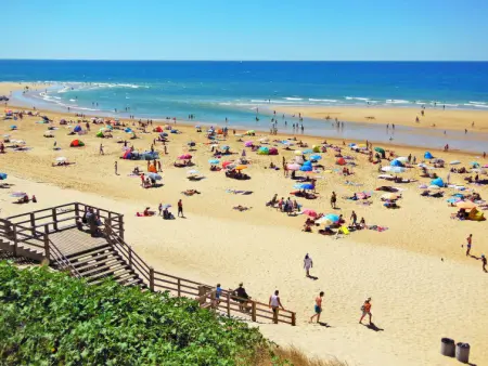 Les Chênes, Maison 10 personnes à Lit et Mixe - Photo 25