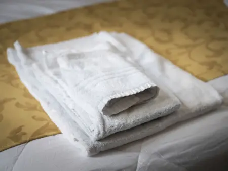 Villa Ortensia D'Avalos, Villa 12 personnes à Alvignano - Photo 30