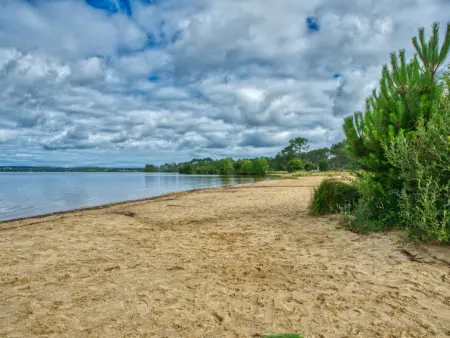 Atlantic Green, Maison 4 personnes à Lacanau - Photo 17
