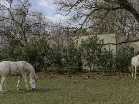 L'Aquillon, Appartement 2 personnes à Noves - Photo 16