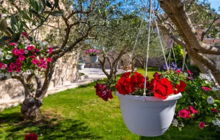 Location Maison 6 personnes à Benkovac - Photo 19