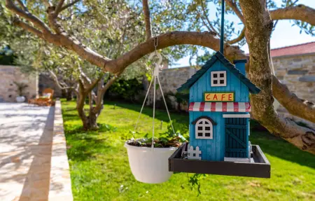 Location Maison 6 personnes à Benkovac - Photo 21