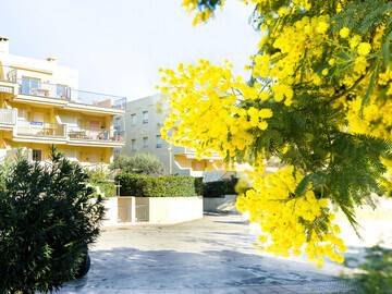 Location Appartement à Llançà,MIMOSES XI 1-2 Apartamento con terraza a 150 m. de la playa de Grfeu. ES-228-50 N°906005