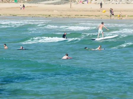 Gîte cosy à 600m de la plage avec Wifi et animaux acceptés - Photo 25