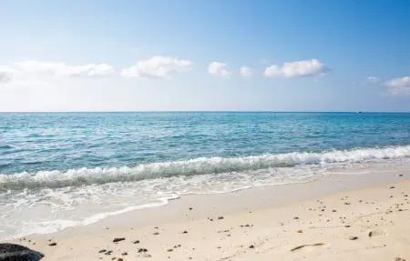 Location Appartement 6 personnes à Rogliano - Photo 4