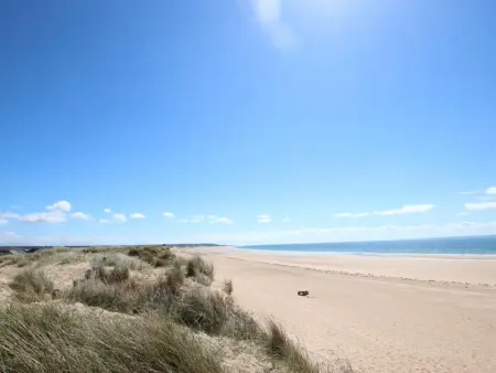 Maison en bord de mer à Surtainville – 2 chambres, wifi, animaux acceptés, proche des dunes et de la plage - Photo 16
