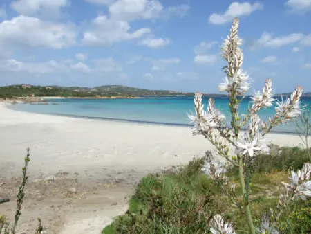 Pietra, Maison 6 personnes à Pittulongu - Photo 33